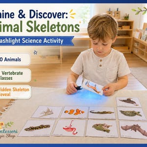 Actividad con linterna sobre esqueletos de animales vertebrados / 10 animales / Material didáctico Montessori para imprimir / Descubre el esqueleto oculto