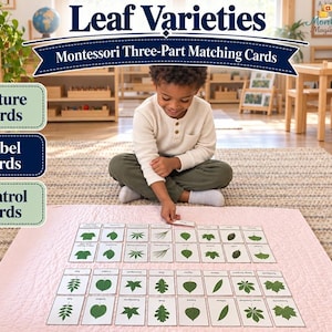 Könnte beinhalten: Ein Set von Montessori-Dreiteiligen-Lernkarten zum Thema Blattvielfalt, bestehend aus Bild-, Beschriftungs- und Kontrollkarten mit verschiedenen Blattabbildungen. Die Karten sind auf einer hellrosa Matte für pädagogische Zwecke ausgelegt.
