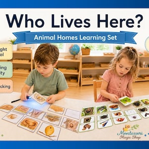 Może przedstawiać: Zestaw edukacyjny Who Lives Here? Animal Homes z 12 domami zwierząt. Zawiera funkcję odkrywania latarką, ćwiczenia dopasowujące i samokontrolę. Zestaw składa się z wielu ilustrowanych kart przedstawiających różne siedliska zwierząt.