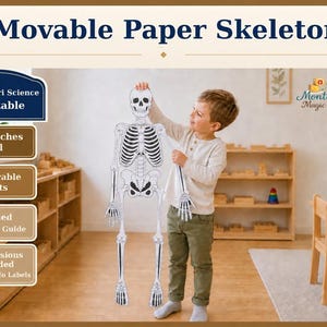Movable Paper Skeleton Activity, 37.5-Inch Human Anatomy Printable, Montessori Science, Halloween Skeleton Decor