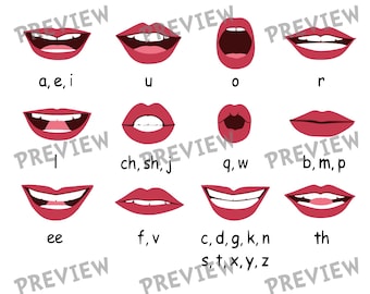 Mouth Shape Lip Sync Reference Guide SVG PNG - Vowel and Consonant Phoneme Chart - Speech Therapy Resource - Animation Lip Sync Cut File