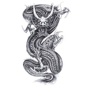 Authentic dragon sleeve temporary transfer tattoo A5 size - Realistic | FAST SHIPPING | Japanese