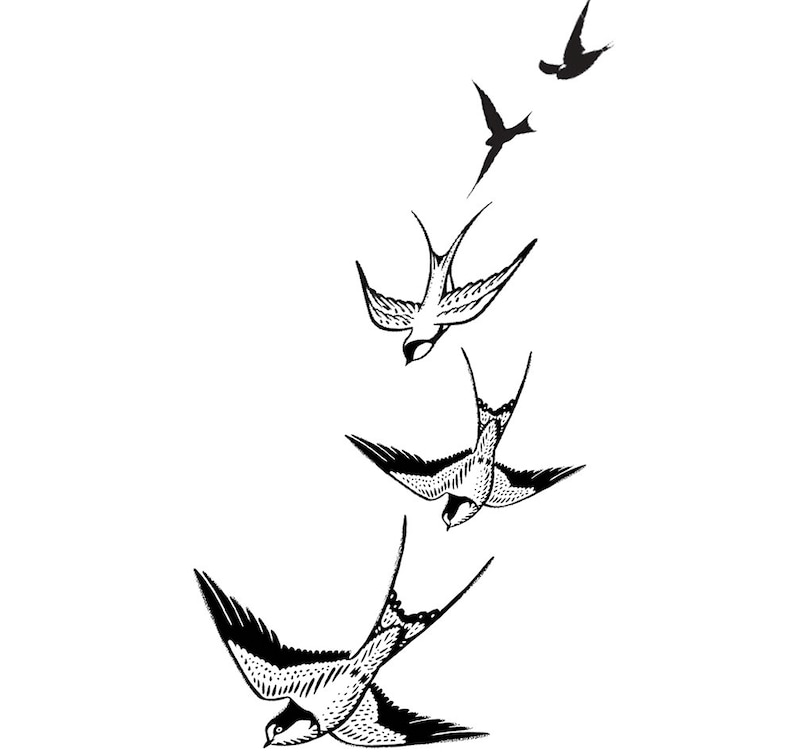 May include: Black and white illustration of five birds in flight. The birds are flying in a diagonal line, with the bird at the top of the line flying the highest. The birds are all facing the same direction.