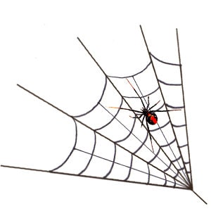 Realistic red back spider web temporary transfer tattoos Halloween  7 x 9 cm  _ FAST SHIPPING 2 copies