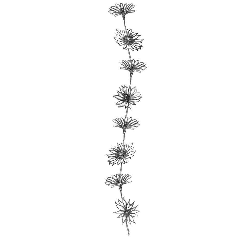 Daisy Chain Wrist/ankle Temporary Tattoo 13x4cms 3 Copies - Etsy Daisy Chain Wrist/ankle Temporary Tattoo 13x4cms 3 Copies - Etsy