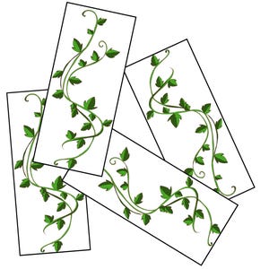 May include: Four rectangular cards with a white background, each featuring a green vine design with leaves and curling tendrils. The vines are arranged in a flowing, decorative pattern, creating a natural, botanical theme.