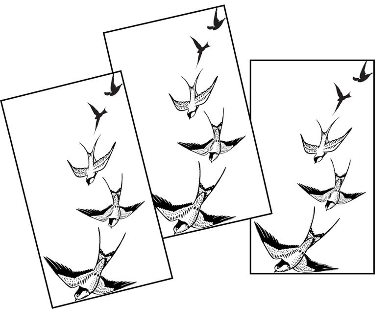 May include: Three white rectangular prints featuring black illustrations of swallows in flight. Each print shows a different arrangement of the birds, with some flying upwards and others in mid-flight. The artwork has a minimalist, graphic style.