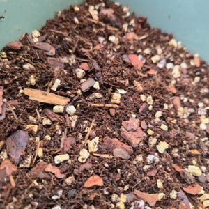 Può includere: Primo piano di un mix di terriccio, con terreno marrone scuro, trucioli di legno e piccole particelle bianche e beige. Il mix sembra essere una miscela di materiali organici, adatta per la semina.
