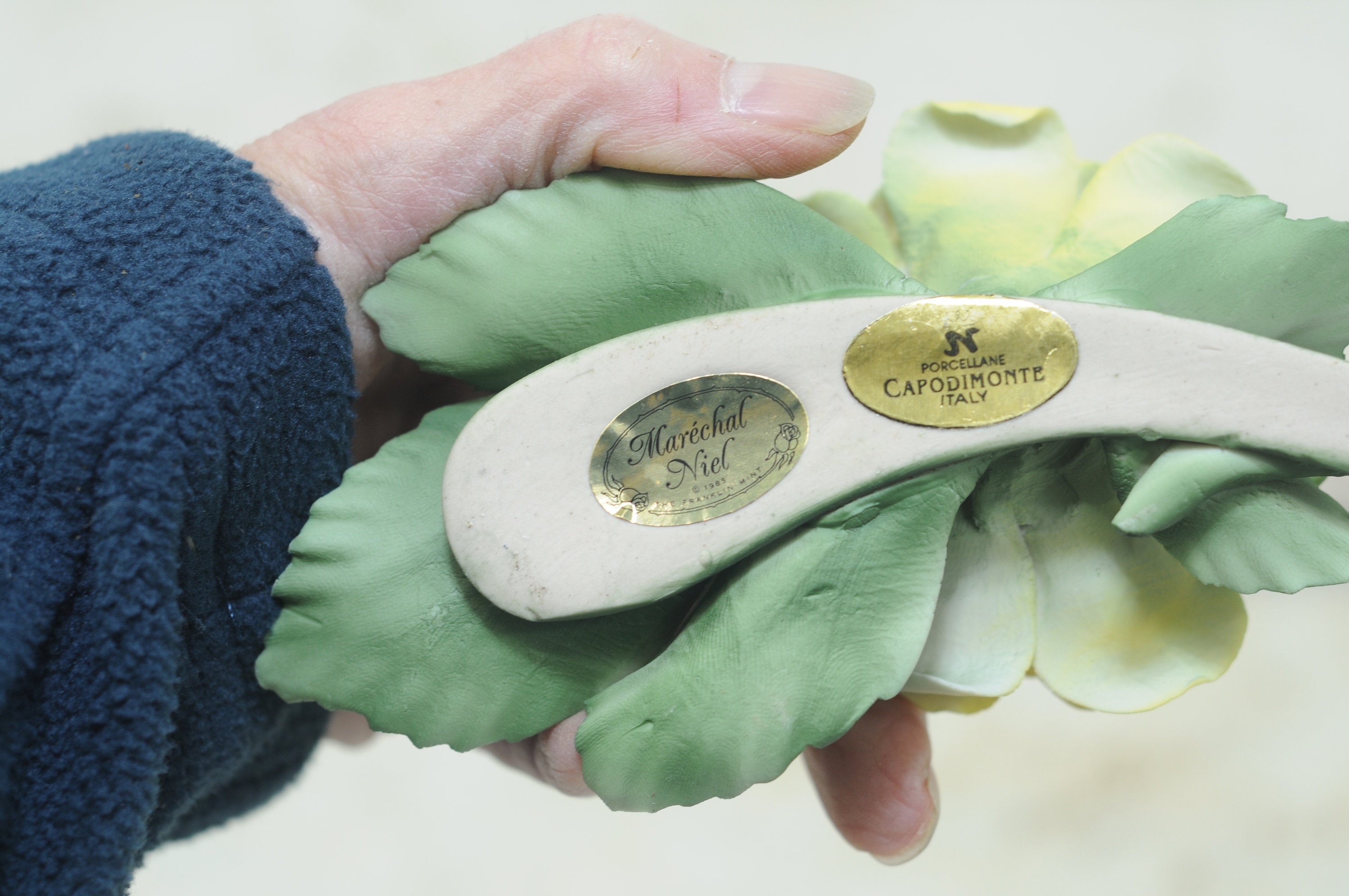 ヴィンテージ 1985 MARECHAL NIEL 磁器 イタリア カポディモンテ フル