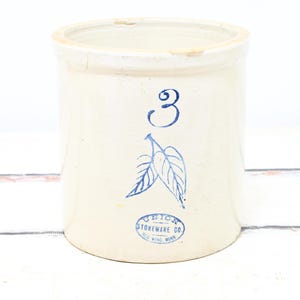 Antique . RED WING 3 Gallon Stoneware Birch Leaf Crock Oval Stamp Union Stoneware