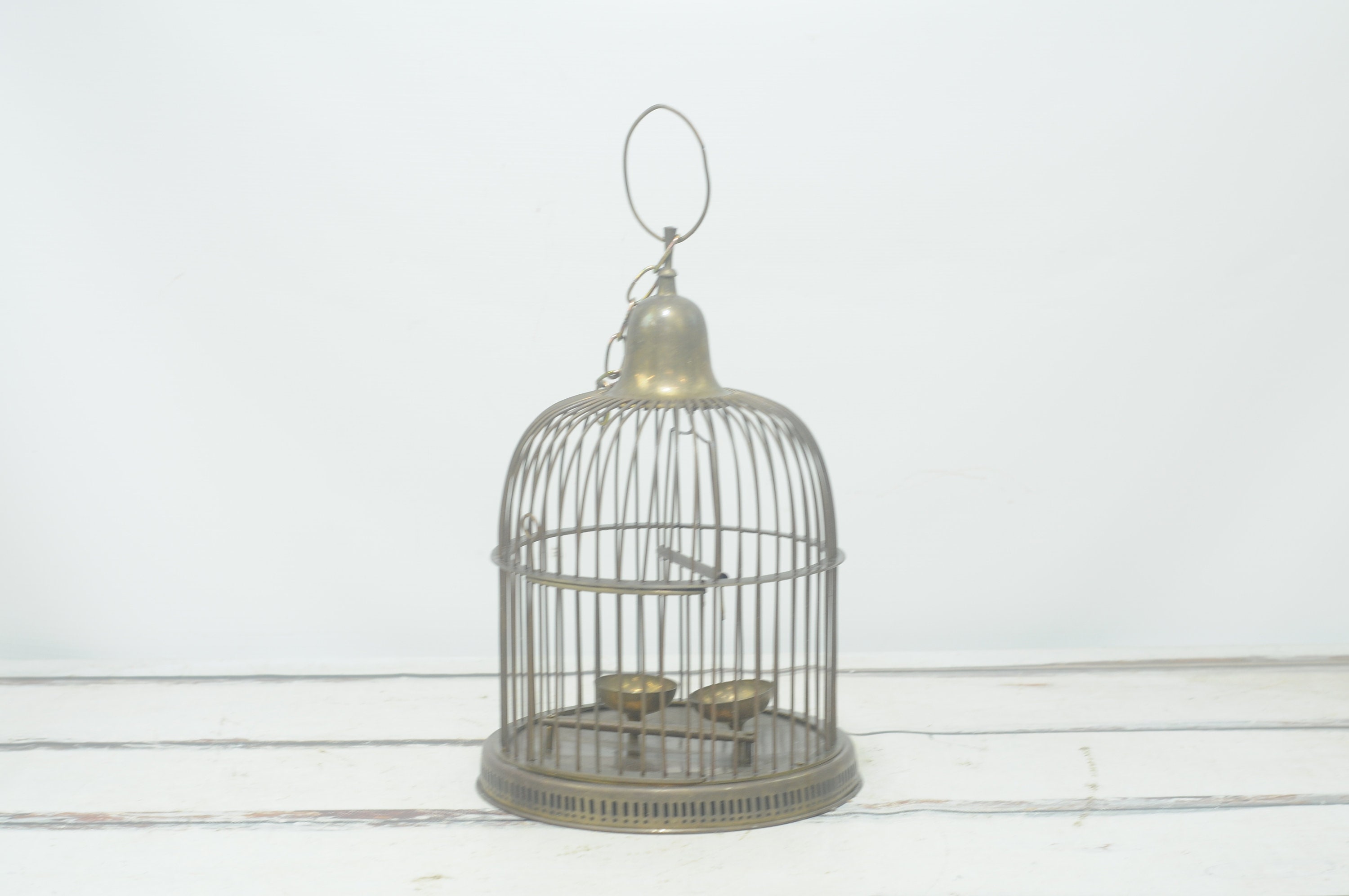 The Birdcage | Rotten Tomatoes, image size:3000x1993