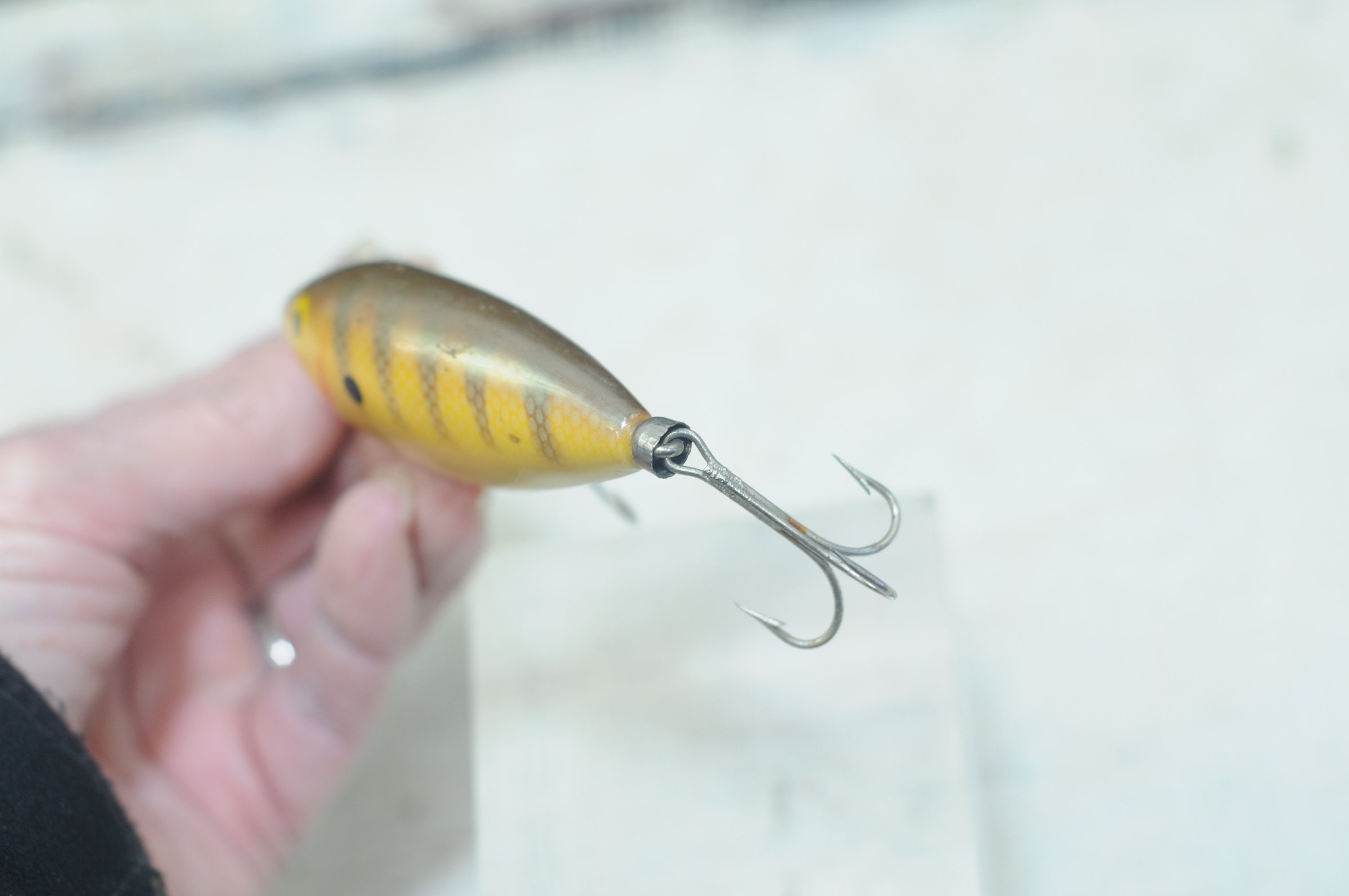 bite me fishing lure Bite Me Fishing Lure, Vector for Cricut/ Silhouette, Digital Instant  Download svg, dxf, pdf, png