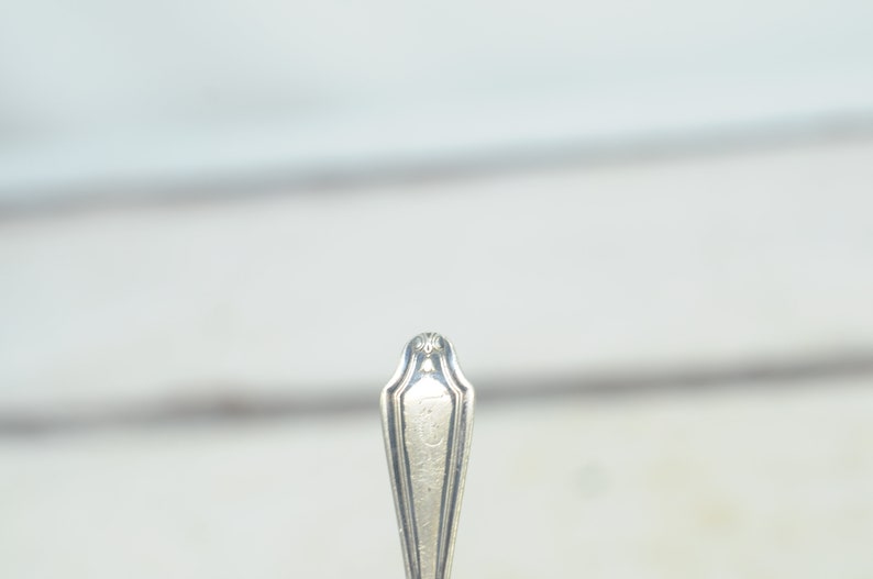 May include: Close-up of the ornate, silver handle of a spoon.