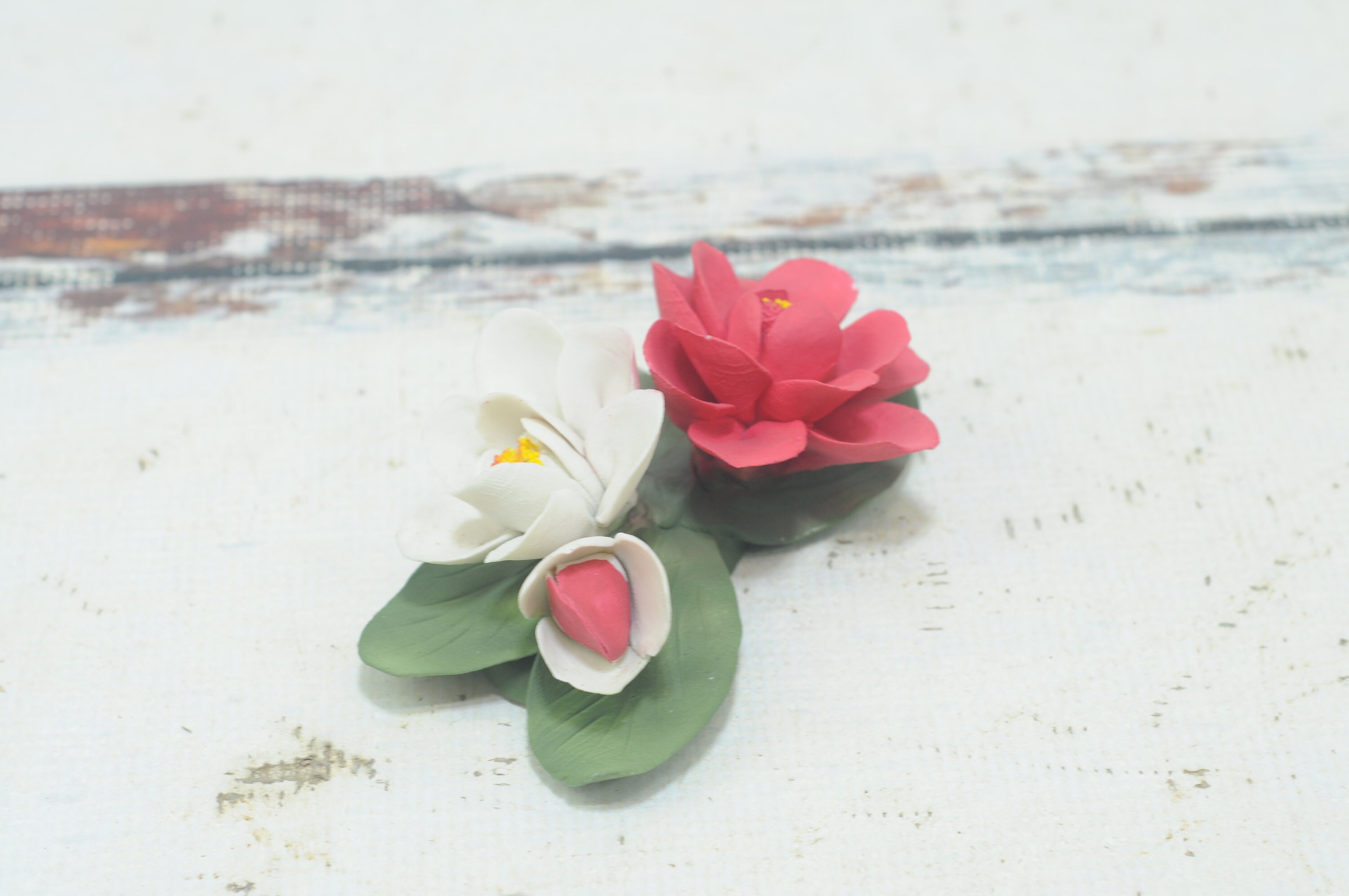 York Lancaster Rose - Etsy