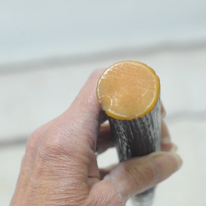 May include: Close-up of the top of a walking stick with a dark brown wood shaft and a light brown, rounded, resin tip.
