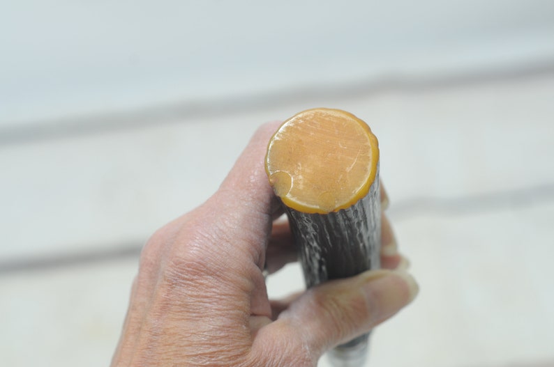 May include: Close-up of the top of a walking stick with a dark brown wood shaft and a light brown, rounded, resin tip.