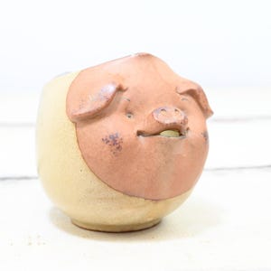 May include: A ceramic piggy bank with a light brown body and a pink face. The pig has a small snout and a slightly open mouth.