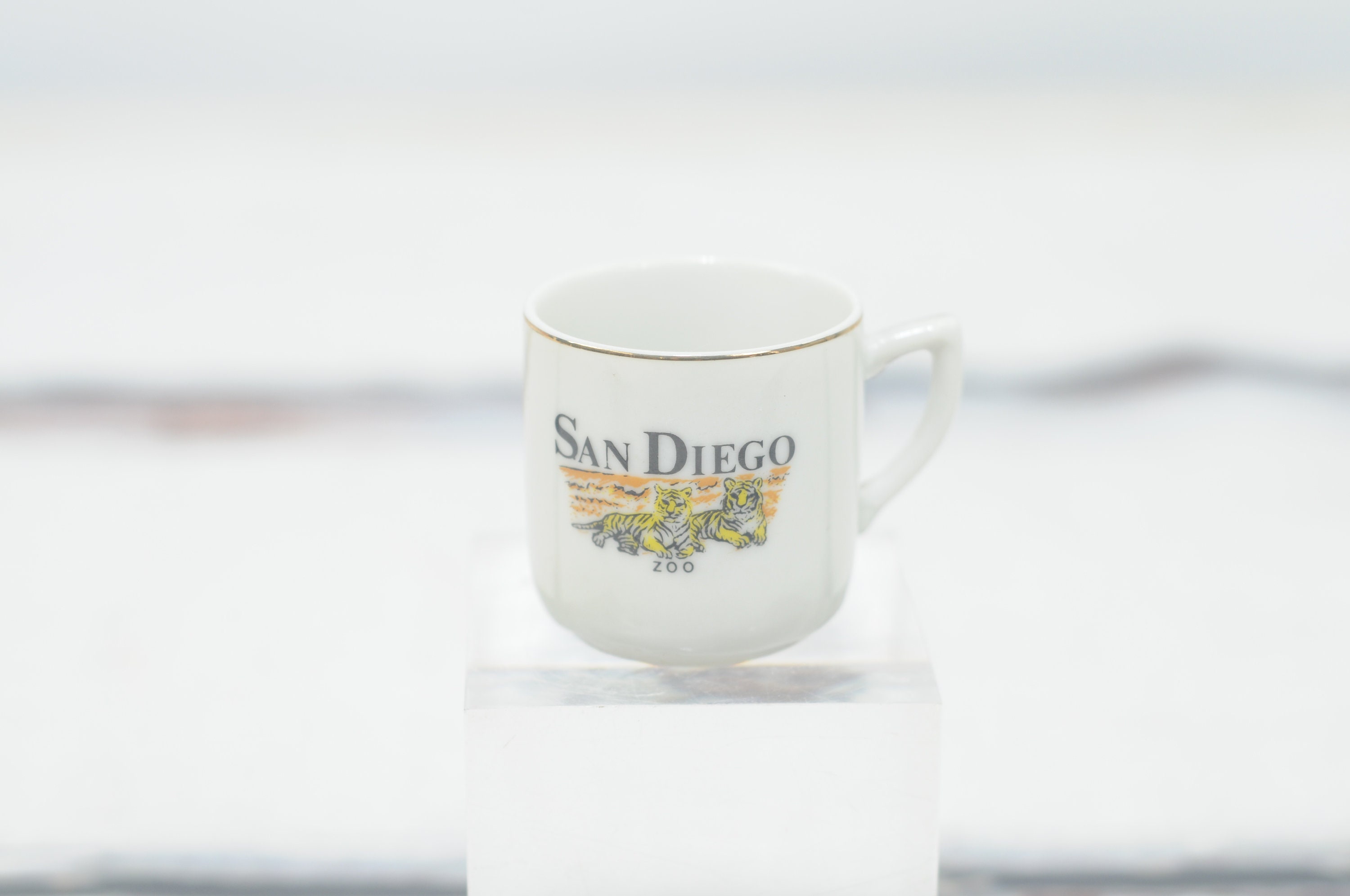 Vintage San Diego Zoo Souvenir Tea Cup San Diego California Zoo Collectible Souvenir