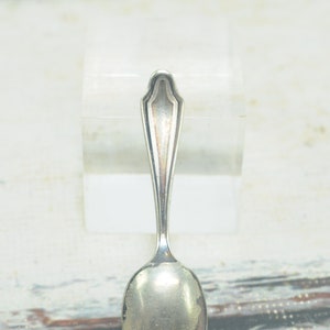 May include: A silver teaspoon with a decorative handle. The spoon is in focus and the background is blurred.