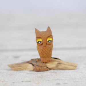 Carved . Owl on Wood Branch Wood Base