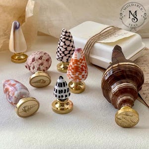 Op de afbeelding: Een collectie van zes waszegelstempels met diverse natuurlijke schelpen als handvat in bruine, witte, oranje en zwarte tinten, elk bevestigd op een goudkleurige metalen voet met gegraveerde schelpmotieven, inclusief een stempel met logo.