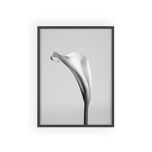 Monochrome Calla Lily Poster poster | Minimal Floral Wall Art, Black Frame