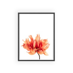 Orange Dahlia Minimalist Artwork Poster with Wooden Frame | Modern Floral Wall Art