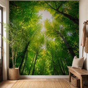 May include: A wall mural featuring a low-angle view of a lush forest canopy with tall tree trunks reaching toward a bright, light-filled sky. The scene displays vibrant green leaves and filtered sunlight creating a natural, immersive forest atmosphere.