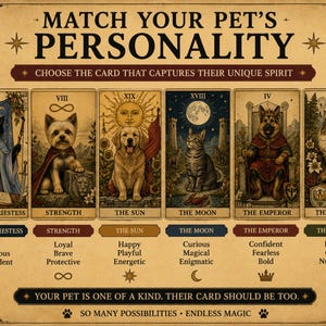 May include: A beige poster titled MATCH YOUR PET'S PERSONALITY featuring six tarot-style cards with illustrations of cats and dogs. Each card depicts an animal with a title like THE HIGH PRIESTESS, STRENGTH, THE SUN, THE MOON, THE EMPEROR, and THE EMPRESS.