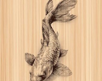 Illustrazione PNG di una carpa koi per incisione su legno.