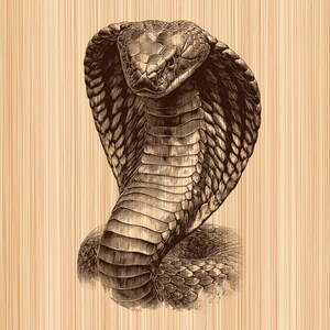 Königskobra-Kopf mit ausgestelltem Kragen – Holzgravur (PNG) für Reptilienliebhaber und exotische Wanddekoration