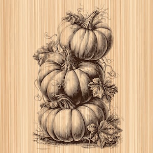 May include: A detailed black and brown ink-style illustration of three stacked pumpkins on a light wood grain background. The drawing features intricate cross-hatching, visible stems, curling vines, and textured leaves surrounding the pumpkins.