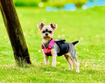 Teacup Dog & Cat Outfit with Detachable Backpack – Water-Resistant Outdoor Pet Harness