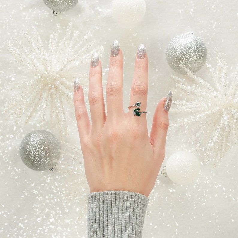 Michigan State University Jewelry MSU Ring Gift Set-Love Michigan Spartans One for You and One for Me Rings Michigan Rings