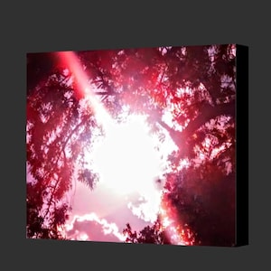 May include: A canvas print featuring a vibrant, sunlit scene. The image captures the sun's rays breaking through the branches of a tree, creating a dramatic display of light and shadow. The color palette is dominated by shades of red and pink.