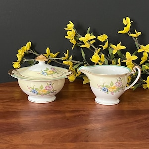 Vintage Sugar and Creamer China, Made in Japan, Floral Sugar and Creamer - Pattern: CEB29 by Celebrate - Yellow Dishes