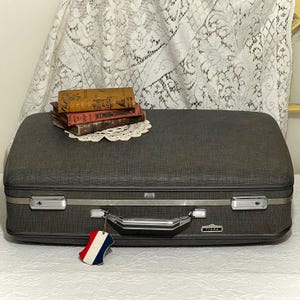 Maleta American Tourister Tiara de 24 x 17 pulgadas, sin llaves, color gris, para viaje, forro de tela verde acolchado