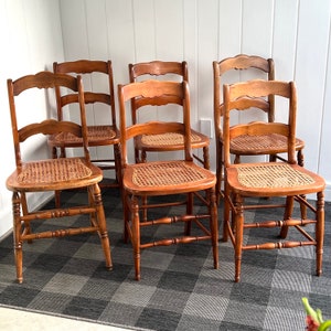 Recaning new arrivals