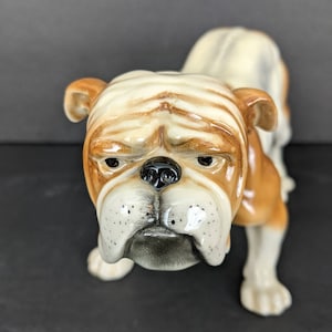Vintage Goebel Porcelain Figurine Bulldog Manufactured between 1964 and 1972 CH626 Collectable Very Good Condition  7 1/2&quot; x 4 1/2&quot;