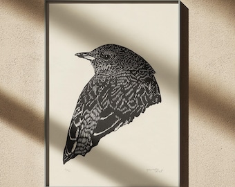 Linogravure oiseau de montagne accenteur alpin noire en A4 - edition limitée
