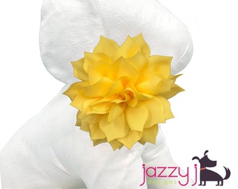 Soft Yellow Dahlia Flower Dog Collar Accessory