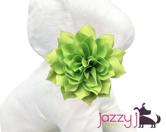 Apple Green Dahlia Flower Dog Collar Accessory