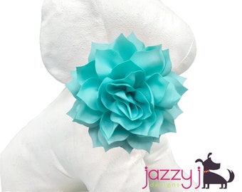 Aqua Dahlia Flower Dog Collar Accessory