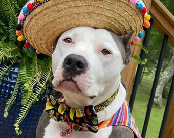 Mexican Dog Sombrero - Etsy