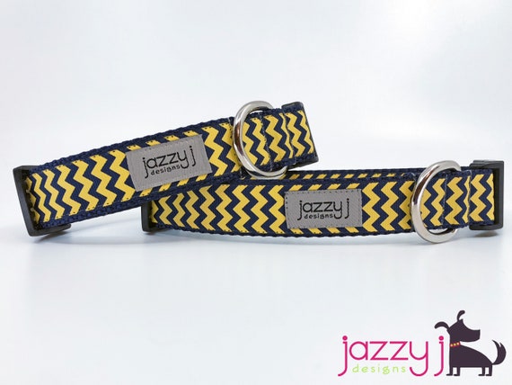 Jazzy dog collars hotsell
