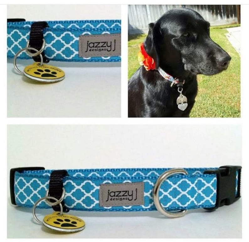 Dog Collar Pet ID Tag Holder Etsy