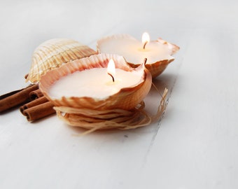 Scented Handmade Seashell Candles Set of Two, Gift for Beloved, Beach Cottage Decor, Cottagecore Home Decoration