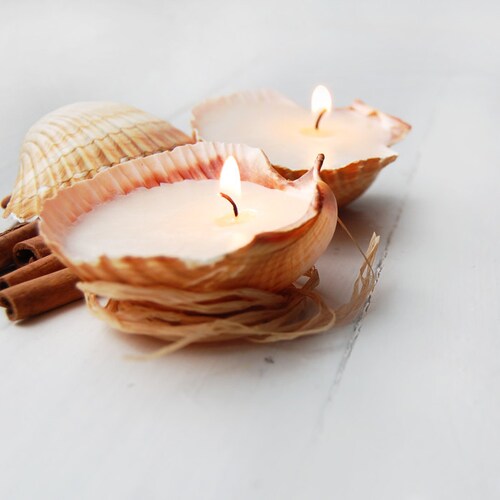 Scented Handmade Seashell Candles Set of Two Gift for Etsy