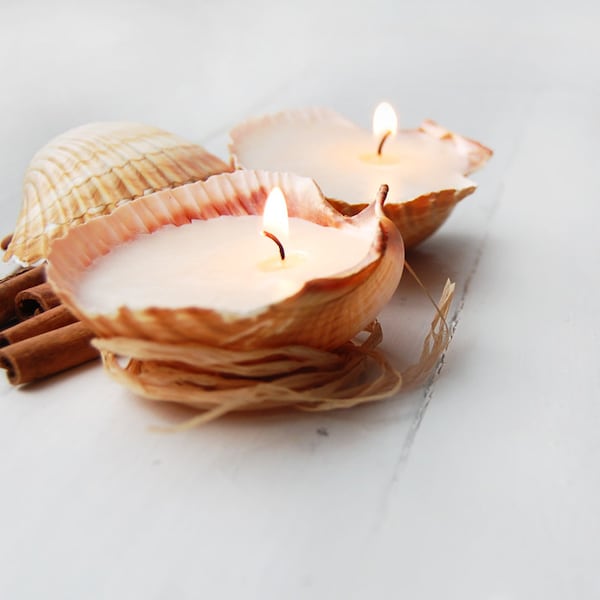 Scented Handmade Seashell Candles Set of Two, Gift for Beloved, Beach Cottage Decor, Cottagecore Home Decoration