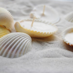 Eco-friendly Scented Handmade Seashells Candles Set Of 24, Mermaidcore Decor, Soy Candles, Home Scents, Beach Wedding Favor Decorations